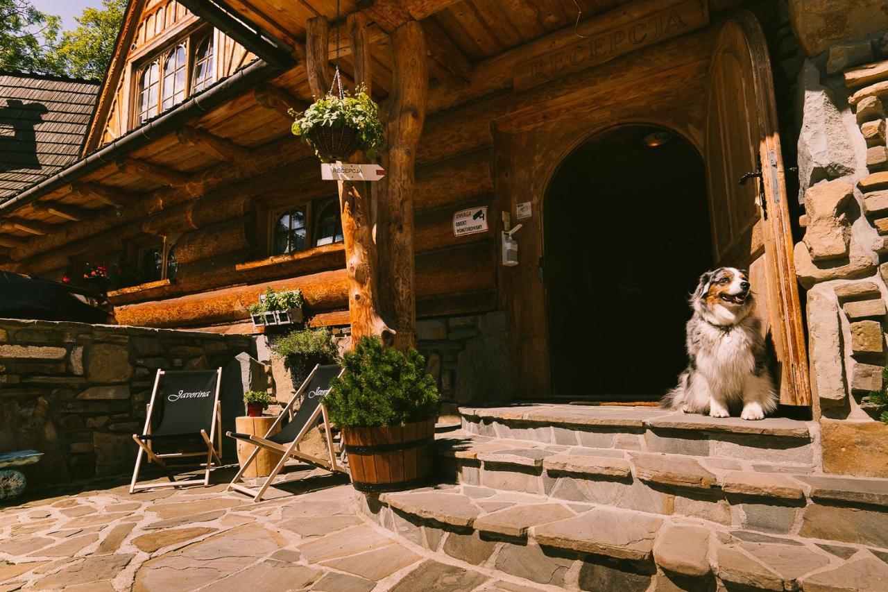 Pokoje Javorina Zakopane Extérieur photo